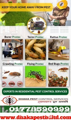 Pest Control Service Dhaka Bangladesh